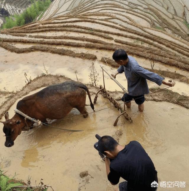 舌尖上的中国第一季下载mp4（舌尖上的中国第一季下载百度网盘）