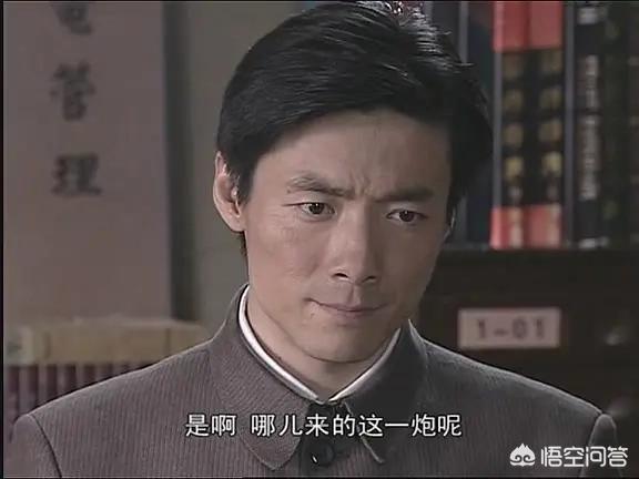 谍战电视剧排行榜（十大必看谍战电视剧排行榜）