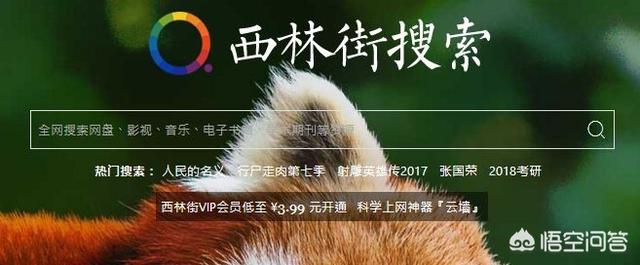 资源搜索器网页版（资源 搜索或输入网址）