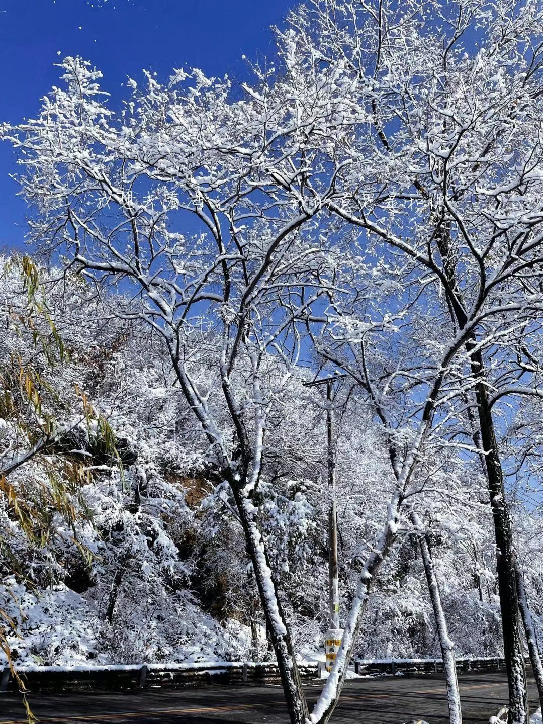 霍建华林心如婚礼现场（霍建华林心如婚纱）