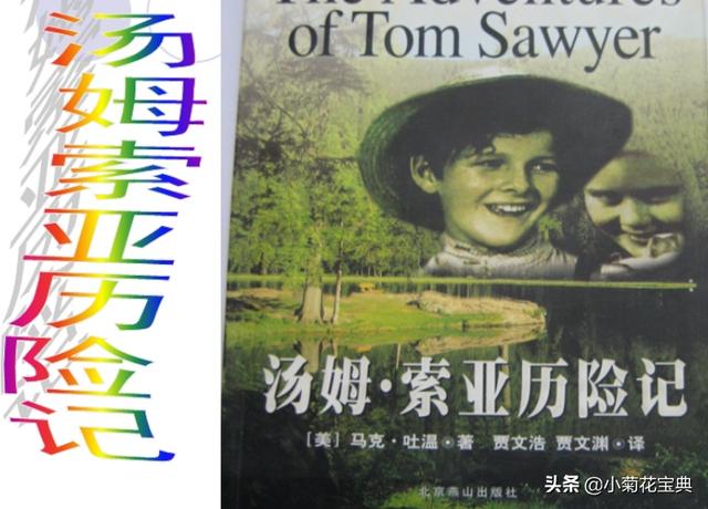 汤姆索亚历险记电影免费观看