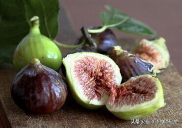 水果大战害虫（水果大战害虫7破解版下载）