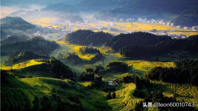 布雷克 格里芬（布雷克格里芬英文名）