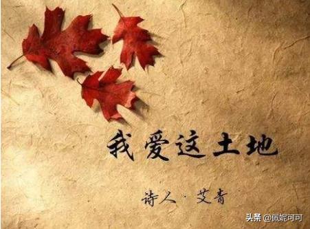 我爱这土地 艾青（我爱这土地 艾青诗歌鉴赏）